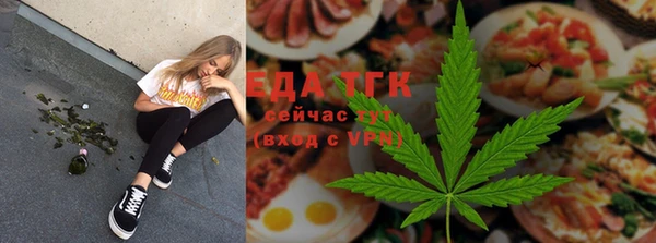 дживик Бронницы