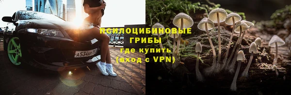 спайс Бородино