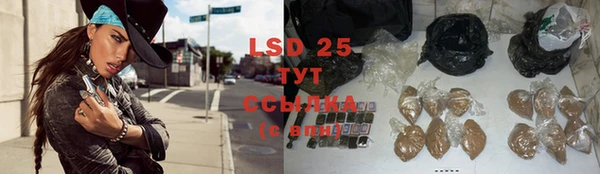 спайс Бородино