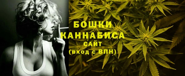 спайс Бородино