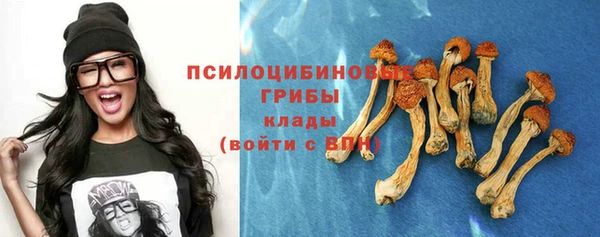 спайс Бородино