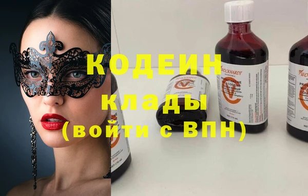 дживик Бронницы