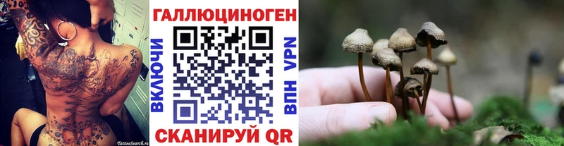 даркнет телеграм  Рыбинск  Псилоцибиновые грибы Cubensis 